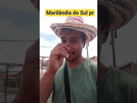 Marilândia do Sul pr