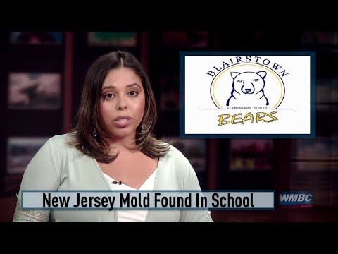 NJ Hackettstown Mold Found In School