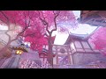 Lilac - anata