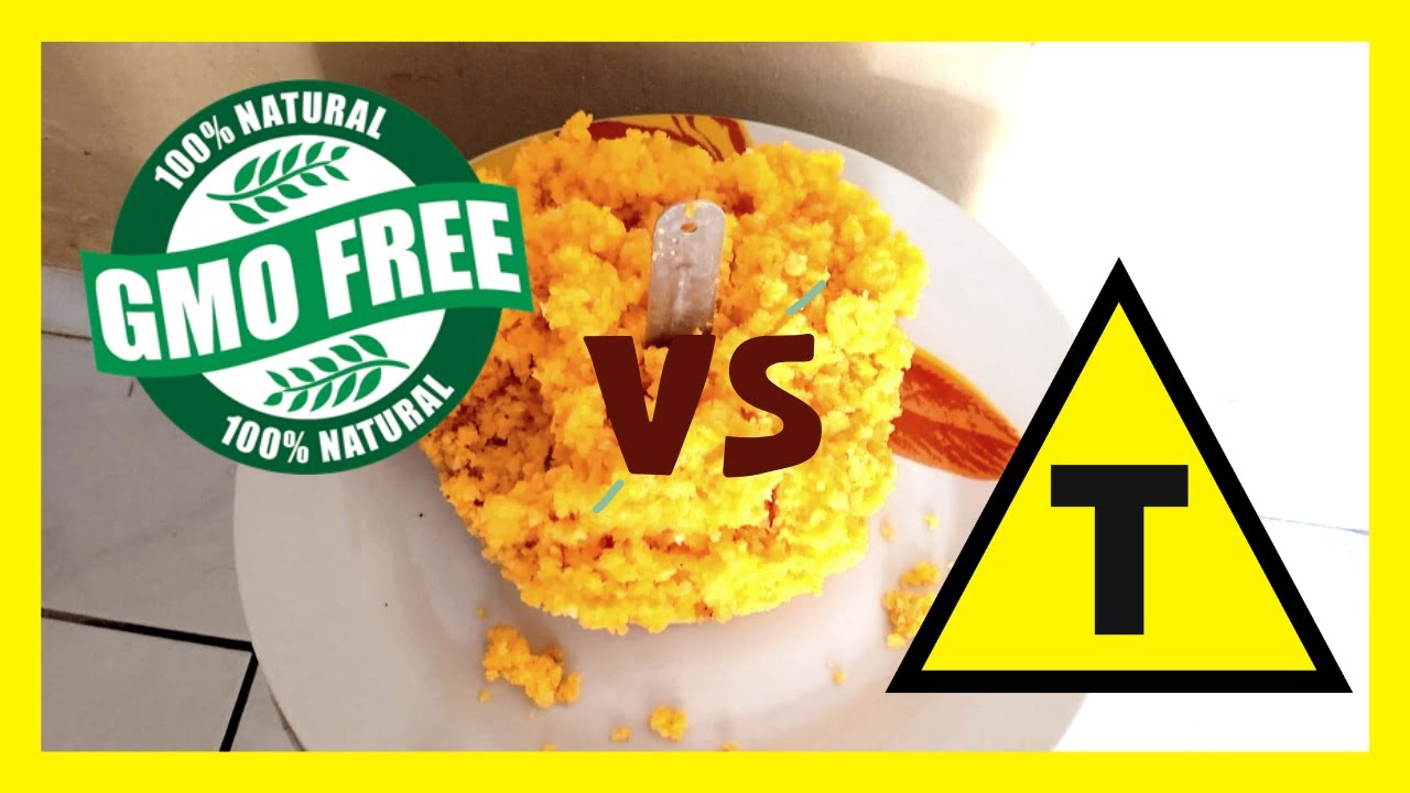 CUSCUZ NÃO TRANSGÊNICO, VOCÊ NÃO VAI ACREDITAR NA DIFERENÇA QUE FARÁ PARA A SUA VIDA!