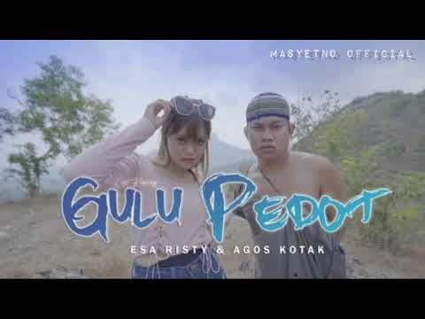 GULU PEDOT Esa Risty feat Agos kotak (Ega Alfariz)