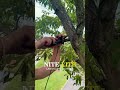 Lighting Installation Glow-Up | Nite Lite Boston