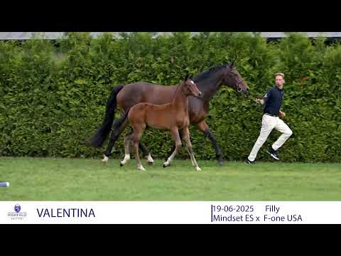 VALENTINA