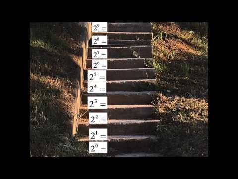 2⁰ 2¹ 2² 2³ 2⁴ 2⁵ 2⁶ 2⁷ 2⁸ 2⁹