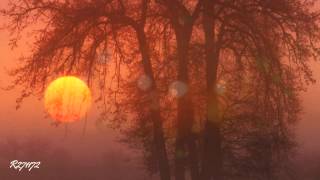 Tord Gustavsen Trio - Graceful Touch