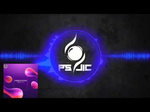 Breaks | TheBeatStops - Bass Fly [Dizzines]