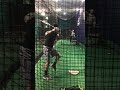 Batting cage