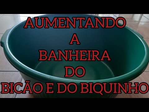 AUMENTANDO A BANHEIRA DOS PATOS #duck #pato