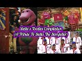 Barney Friends Stella S Toodles Compilation A Tribute To Stella The Storyteller
