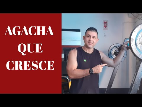 AGACHA QUE CRESCE!!!