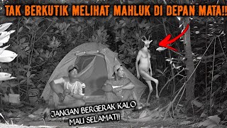 Download lagu CAMPING HOROR KAMI TERDIAM MELIHAT MAHLUK HALUS DI SAMPING TENDA MENGHANTUI TERUS MENERUS!! mp3