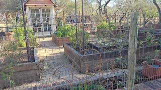 Happy New Year - Loving the Garden!