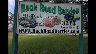 Back Road Berries Fall Update