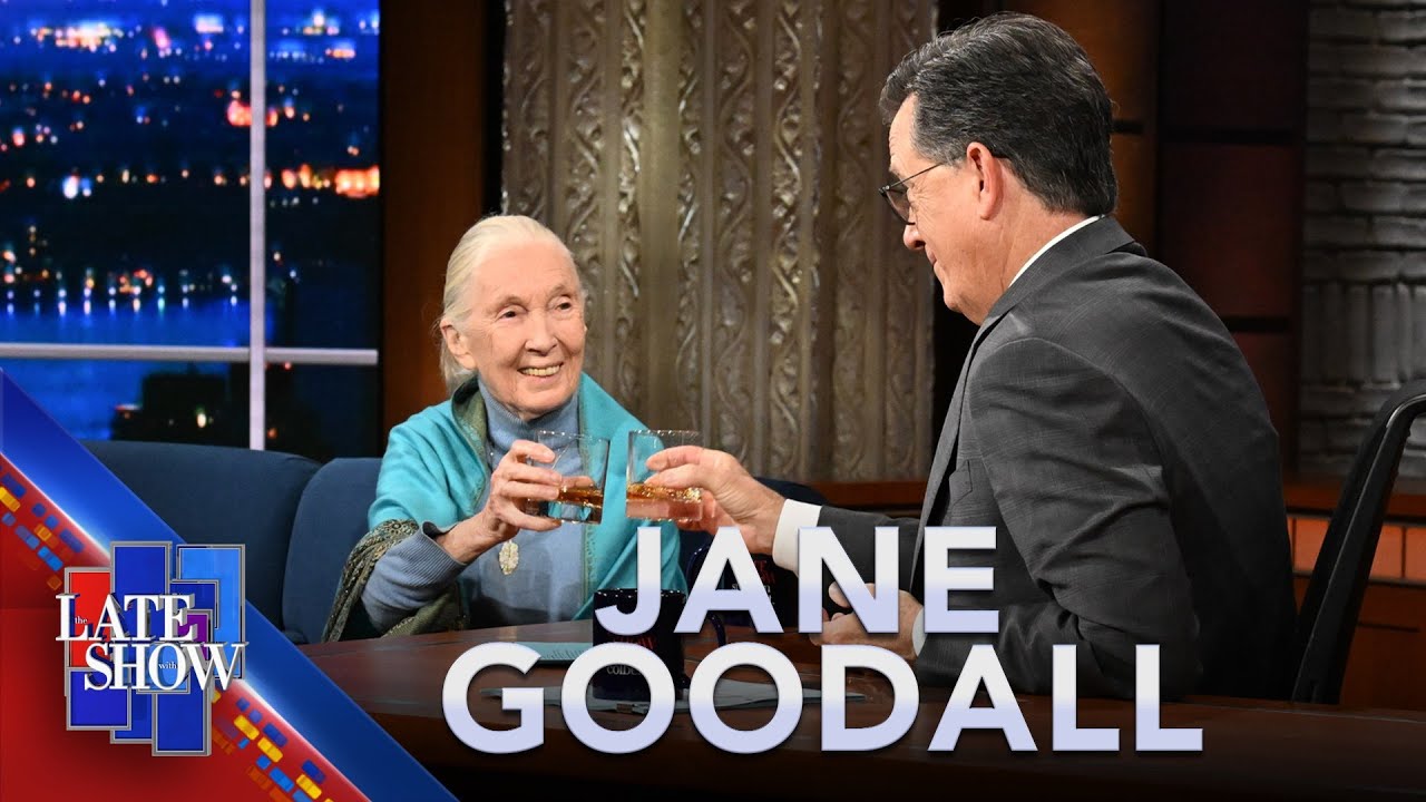 Jane Goodall On Voting To Save The Planet, And Why Male Politicians Are Like Chimpanzees