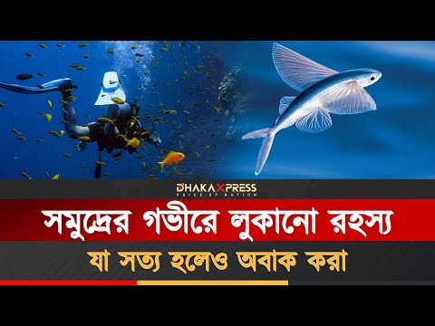 রহস্যময় সমুদ্রের অবিশ্বাস্য সত্য