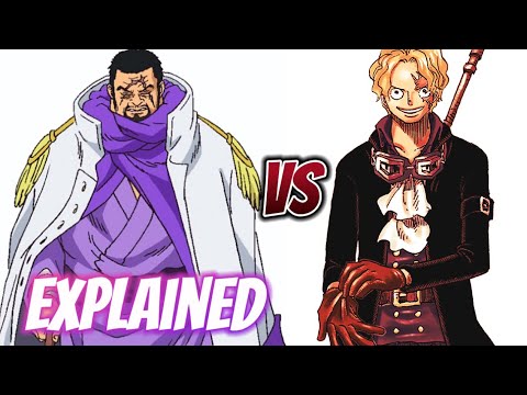 Sabo vs Fujitora Full Fight Analysis
