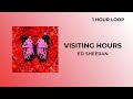 Visiting Hours Ed Sheeran 1 HOUR LOOP