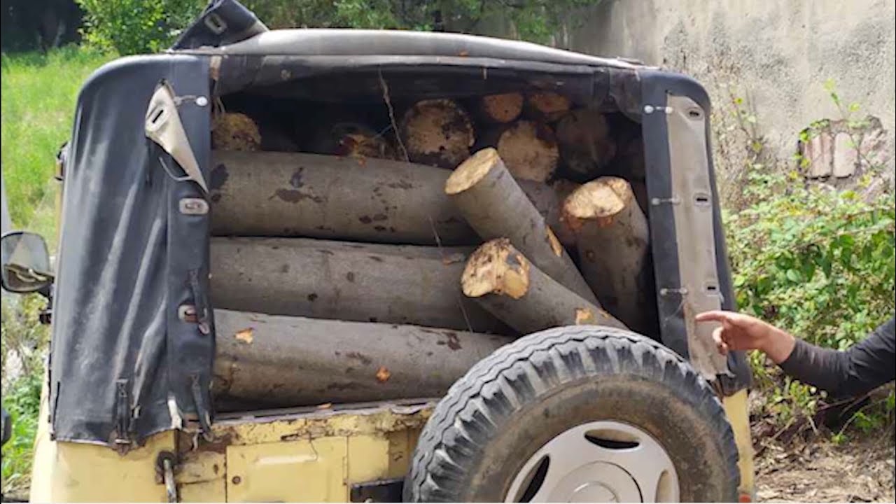 Վահագնի գյուղի բնակիչը ապօրինի հատել է երեք կանգուն ծառ