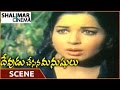 Devudu Chesina Manushulu Movie NTR Chasing Scene NTR Krishna Shalimarcinema