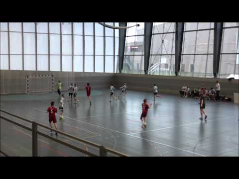 U15 - SG Horgen/Wädenswil - Handball Regionalmeister Saison 14/15