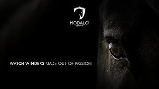 Als eine der weltweit führenden Uhrenbeweger marken präsentiert MODALO in diesem Video die Verbindung zwischen den hervorragenden Eigenschaf