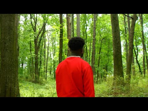 “Make It Make Sense" S1 Ep 4 | Forest |