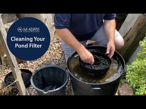 Cleaning Your Pond Filter