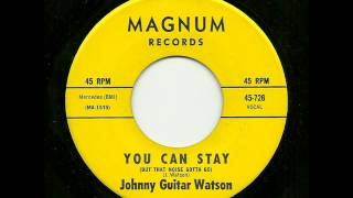 Johnny Guitar Watson - You Can Stay (But This Noise Gotta Go) (Magnum)