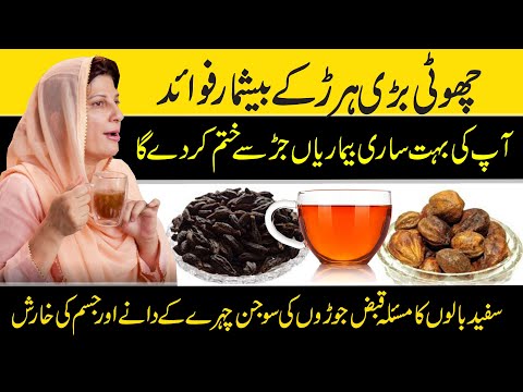 Choti Badi Harad ke Fayde | Haridki Benefits in Urdu | Dr. Bilquis sheikh (Herbalist)