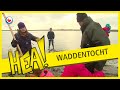 Hea! Opa en oma en kleinkinderen doen gezellig een waddentocht.