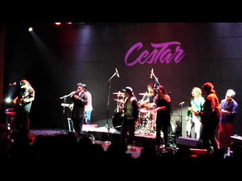 CESTAR FT' STAILOK HD "SEXY-TODO CAMBIO"