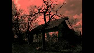 Klaus Schulze - This House Full of Shadows