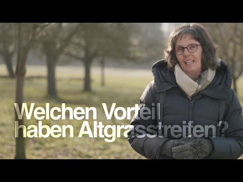 Grünland: Welchen Vorteil haben Altgrasstreifen (DIVAGF)?
