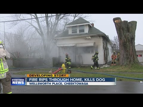 Dog dies, firefighter injured in Cheektowaga house fire