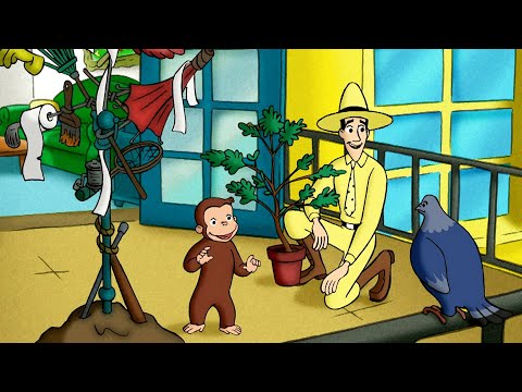 Capa de O novo amigo do George | George, o Curioso | Desenhos Animados em Português