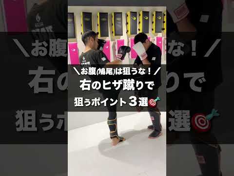 右ヒザ蹴りは”お腹”を狙うな！｜当たるポイント3選✨【キックボクシング】
