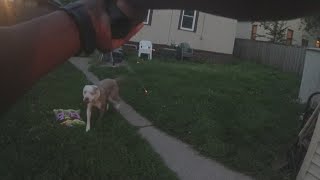 Body Camera Video In Minneapolis Dog Shooting Released