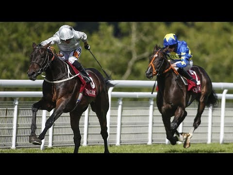 Mark Johnston on Dee Ex Bee, Mildenberger and his St Leger plans