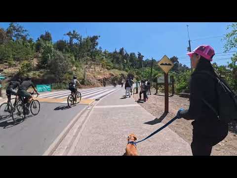 Visitando el Parque Metropolitano de Santiago - Jardín Mapulemu