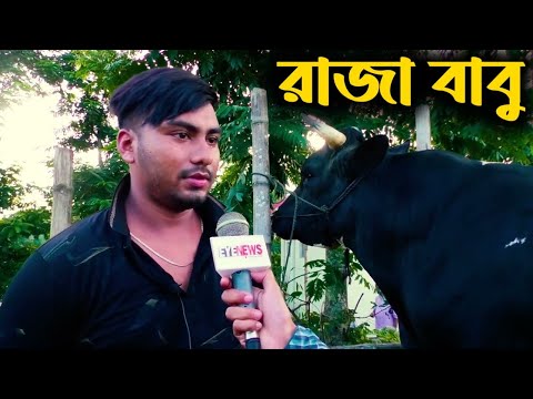 কোরবানির হাঁট কাঁপাতে রাজা বাবু - দাম ১৮ লাখ টাকা