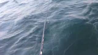 初心者　釣り　実況　パート4 ボートでのサビキ釣り
