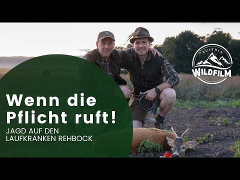 Wenn die Pflicht ruft! - Jagd auf den laufkranken Rehbock