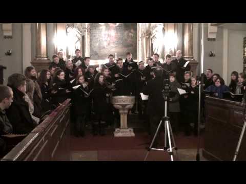 Eric Whitacre, Charles Anthony Silvestri - Sleep (2013)