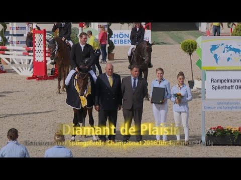 Hannoveraner Springpferde-Championat 2016 - Vierjährige Pferde
