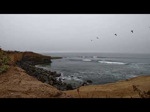 Cal Beach Meditations