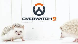 ▶︎▷ OW｜ランクをさせてください w/こやなぎ、ぷてい、ひうらくろ、いなみらい｜夕陽リリ￤にじさんじ