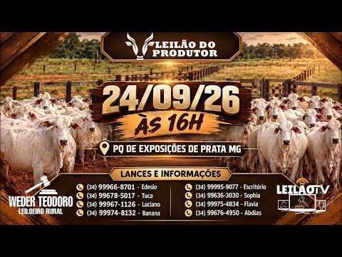 🔥 AO VIVO: LEILÃO DE GADO DE CORTE - LEILÃO DO PRODUTOR -  PRATA MG - 24/09/26