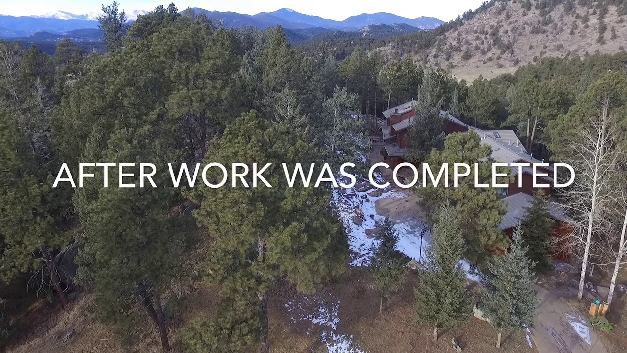 Tree Removal and Pruning for Wildfire Safety