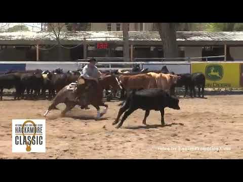 Brother Jackson - 2014 NRCHA Hackamore Classic -  herd work