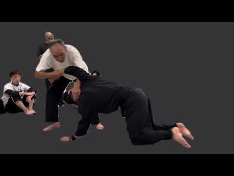 簡単に転がします♪